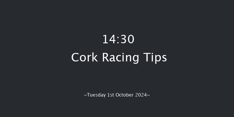 Cork  14:30 Handicap 6f Wed 11th Sep 2024