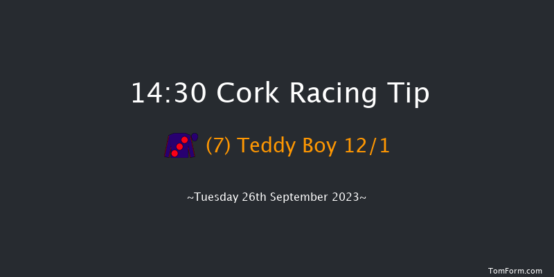 Cork 14:30 Handicap 6f Wed 6th Sep 2023