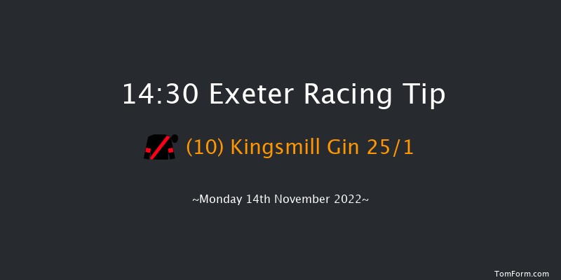 Exeter 14:30 Handicap Chase (Class 4) 24f Fri 4th Nov 2022