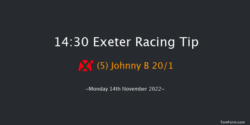 Exeter 14:30 Handicap Chase (Class 4) 24f Fri 4th Nov 2022