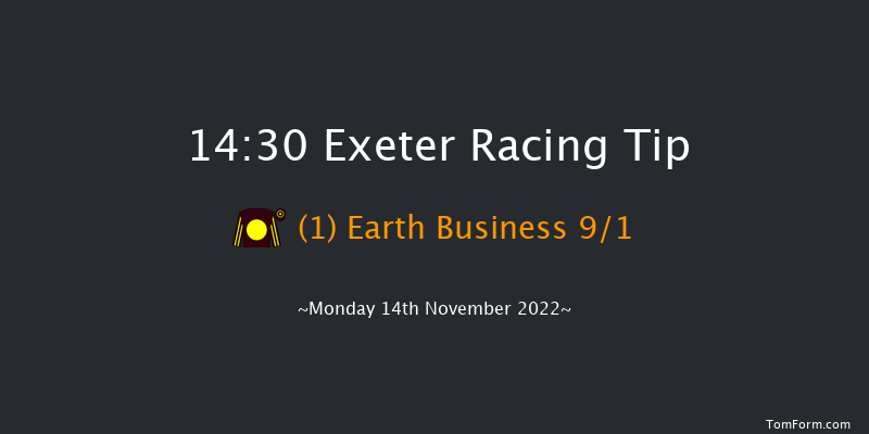 Exeter 14:30 Handicap Chase (Class 4) 24f Fri 4th Nov 2022