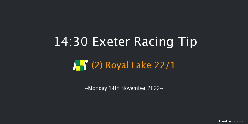 Exeter 14:30 Handicap Chase (Class 4) 24f Fri 4th Nov 2022