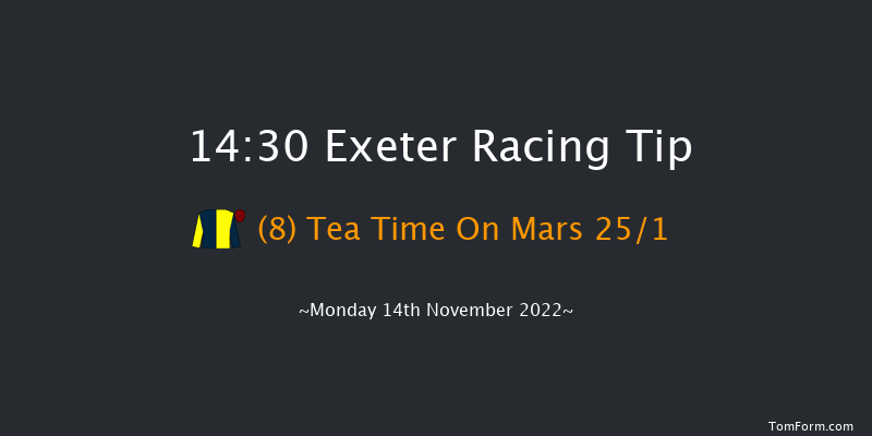 Exeter 14:30 Handicap Chase (Class 4) 24f Fri 4th Nov 2022