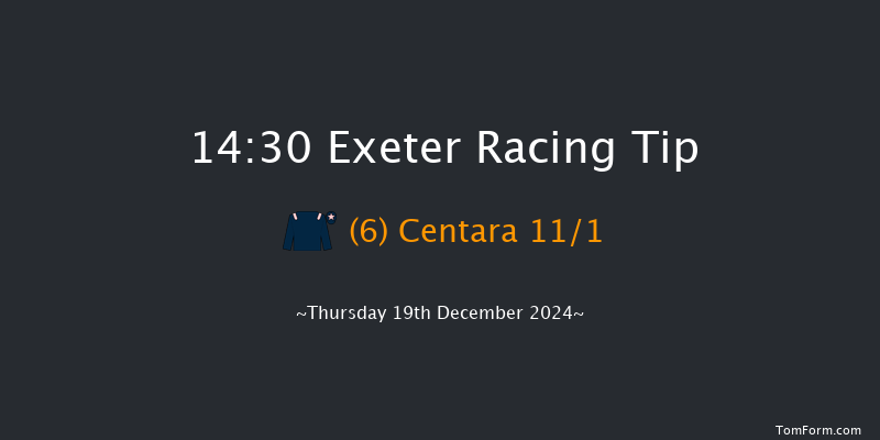 Exeter  14:30 Handicap Hurdle (Class 3) 18f Fri 6th Dec 2024