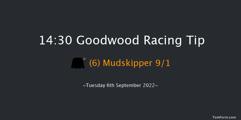 Goodwood 14:30 Maiden (Class 2) 8f Sun 28th Aug 2022