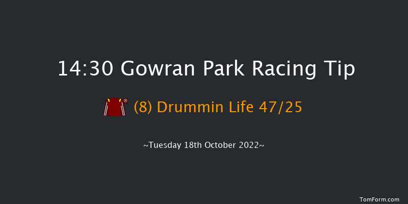 Gowran Park 14:30 Maiden 8f Sat 1st Oct 2022