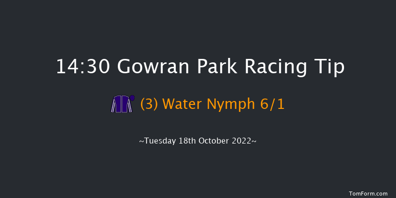 Gowran Park 14:30 Maiden 8f Sat 1st Oct 2022