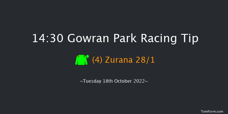 Gowran Park 14:30 Maiden 8f Sat 1st Oct 2022