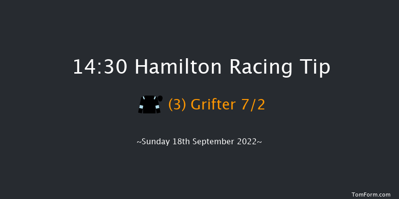 Hamilton 14:30 Seller (Class 4) 9f Wed 31st Aug 2022