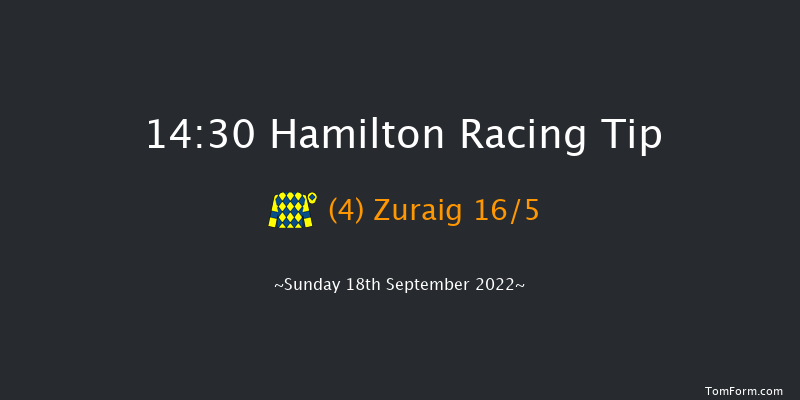 Hamilton 14:30 Seller (Class 4) 9f Wed 31st Aug 2022