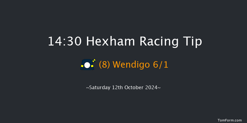 Hexham  14:30 Maiden Hurdle (Class 4) 16f Fri 4th Oct 2024