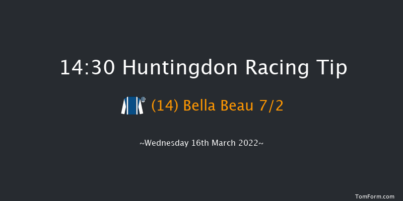 Huntingdon 14:30 Handicap Hurdle (Class 5) 21f Sun 6th Mar 2022