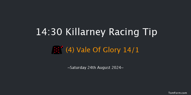 Killarney  14:30 Handicap Hurdle 20f Fri 23rd Aug 2024