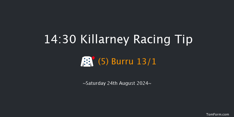 Killarney  14:30 Handicap Hurdle 20f Fri 23rd Aug 2024