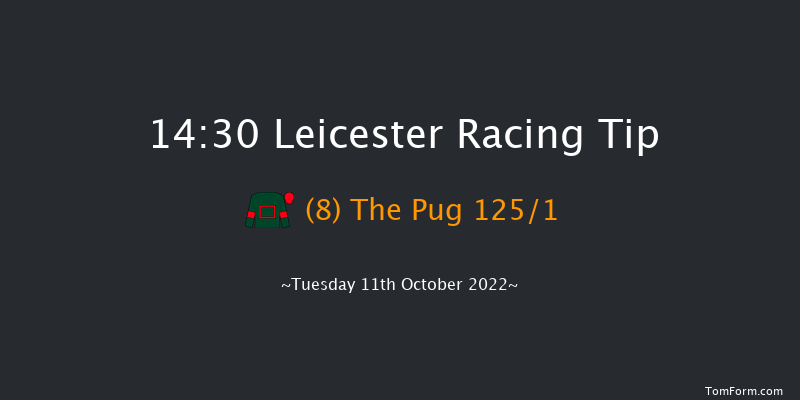 Leicester 14:30 Stakes (Class 4) 7f Tue 4th Oct 2022