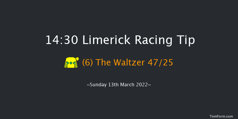 Limerick 14:30 Maiden Hurdle 24f Tue 1st Feb 2022