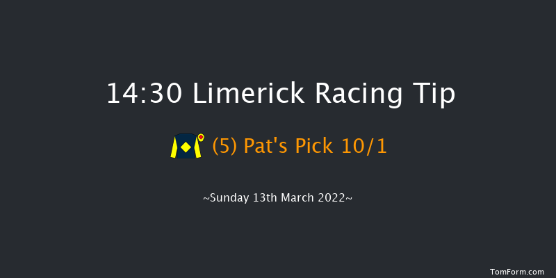 Limerick 14:30 Maiden Hurdle 24f Tue 1st Feb 2022