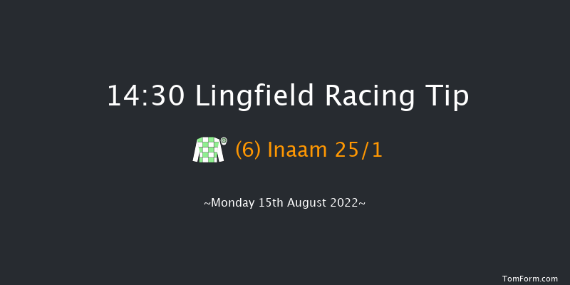 Lingfield 14:30 Handicap (Class 5) 7f Tue 9th Aug 2022