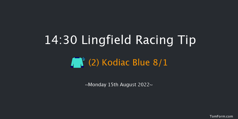 Lingfield 14:30 Handicap (Class 5) 7f Tue 9th Aug 2022