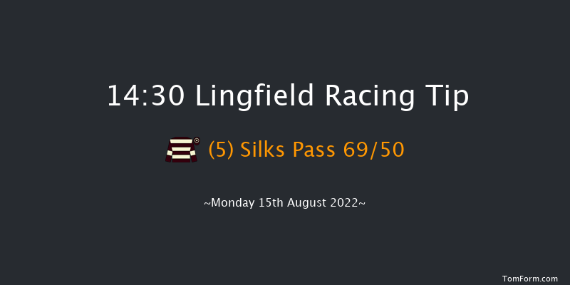 Lingfield 14:30 Handicap (Class 5) 7f Tue 9th Aug 2022