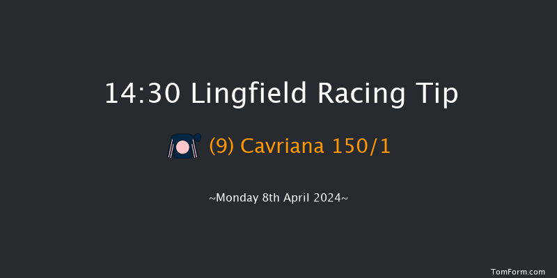 Lingfield  14:30 Stakes (Class 5) 8f Fri 5th Apr 2024