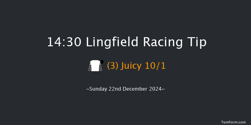 Lingfield  14:30 Handicap (Class 4) 5f Wed 18th Dec 2024