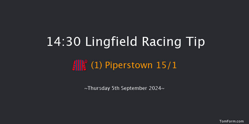 Lingfield  14:30 Handicap (Class 6) 5f Wed 4th Sep 2024