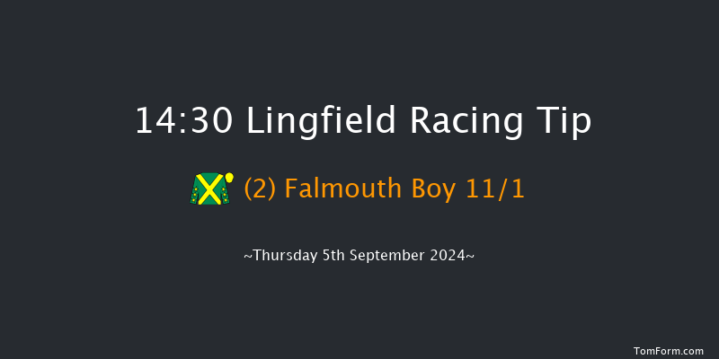 Lingfield  14:30 Handicap (Class 6) 5f Wed 4th Sep 2024