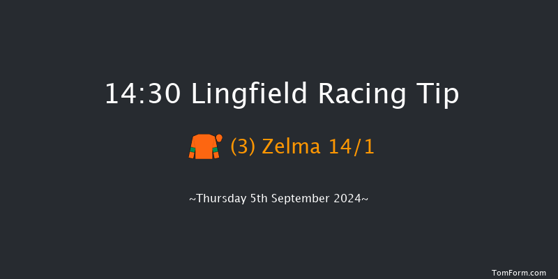 Lingfield  14:30 Handicap (Class 6) 5f Wed 4th Sep 2024