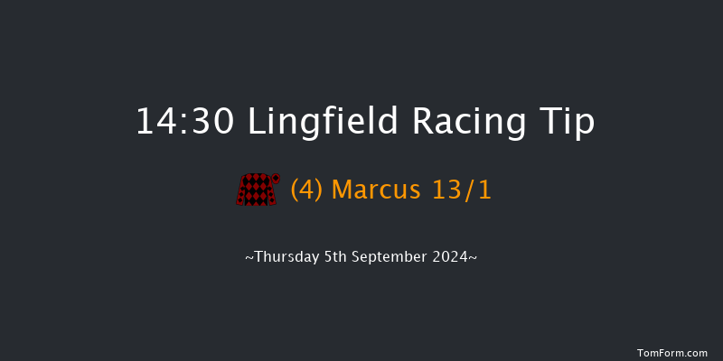 Lingfield  14:30 Handicap (Class 6) 5f Wed 4th Sep 2024