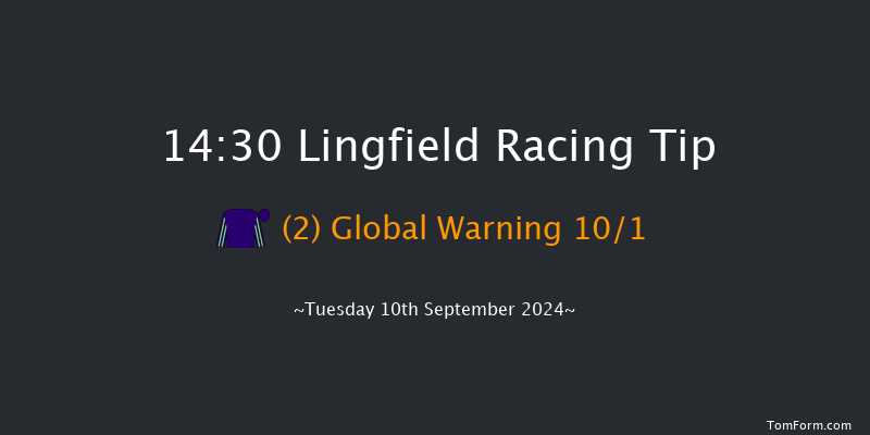 Lingfield  14:30 Handicap (Class 6) 7f Thu 5th Sep 2024