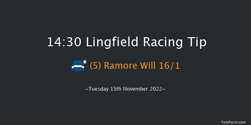 Lingfield 14:30 Handicap Chase (Class 5) 22f Sat 12th Nov 2022