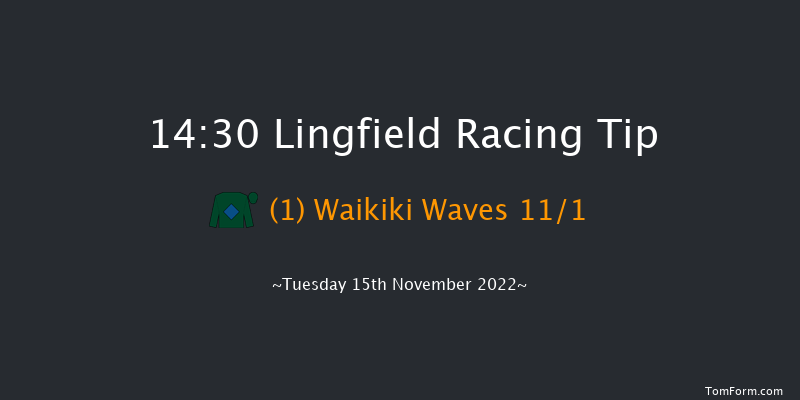 Lingfield 14:30 Handicap Chase (Class 5) 22f Sat 12th Nov 2022