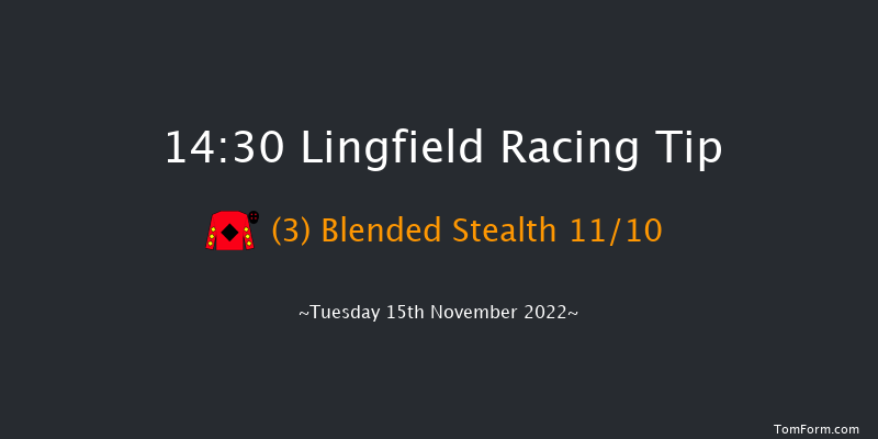 Lingfield 14:30 Handicap Chase (Class 5) 22f Sat 12th Nov 2022