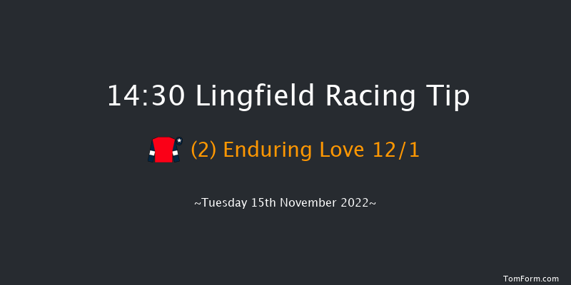 Lingfield 14:30 Handicap Chase (Class 5) 22f Sat 12th Nov 2022