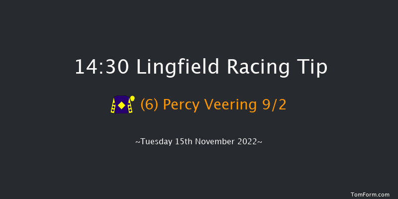 Lingfield 14:30 Handicap Chase (Class 5) 22f Sat 12th Nov 2022