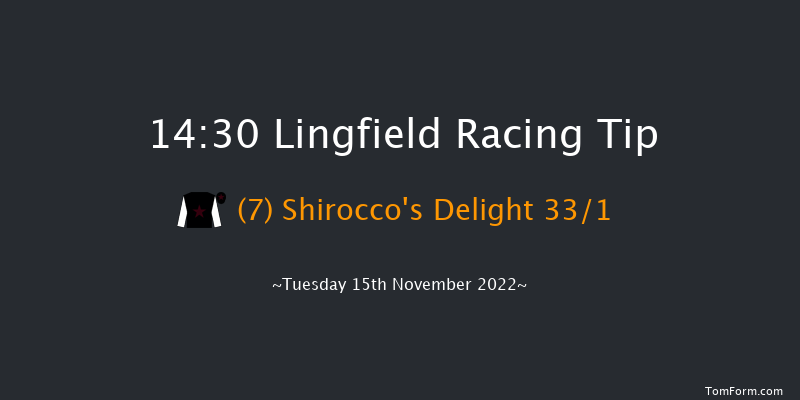 Lingfield 14:30 Handicap Chase (Class 5) 22f Sat 12th Nov 2022