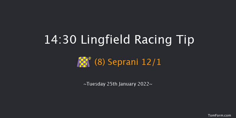 Lingfield 14:30 Handicap (Class 6) 6f Sun 23rd Jan 2022