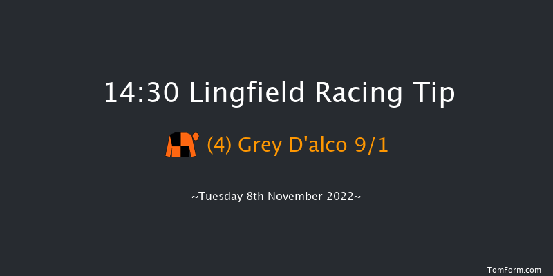 Lingfield 14:30 Novices Hurdle (Class 3) 20f Thu 27th Oct 2022