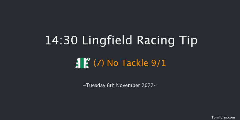 Lingfield 14:30 Novices Hurdle (Class 3) 20f Thu 27th Oct 2022