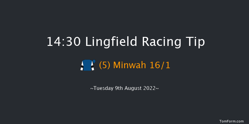 Lingfield 14:30 Stakes (Class 5) 8f Sat 6th Aug 2022