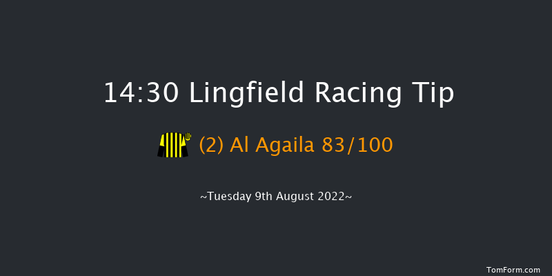 Lingfield 14:30 Stakes (Class 5) 8f Sat 6th Aug 2022