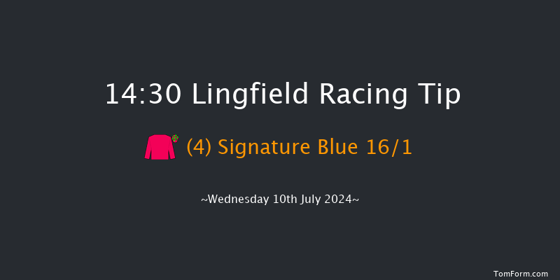 Lingfield  14:30 Handicap (Class 6) 9f Tue 9th Jul 2024