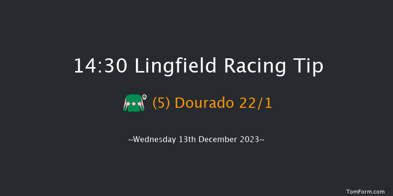 Lingfield 14:30 Handicap (Class 6) 8f Mon 11th Dec 2023