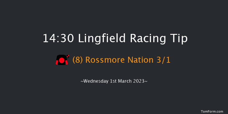 Lingfield 14:30 Handicap (Class 5) 6f Sat 25th Feb 2023