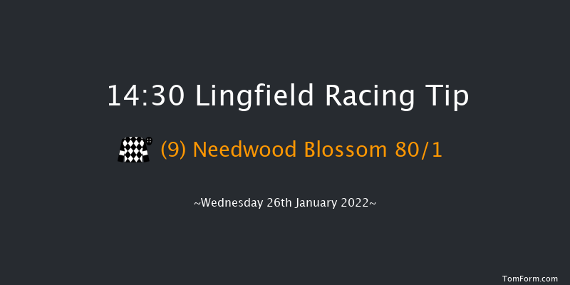 Lingfield 14:30 Stakes (Class 6) 6f Tue 25th Jan 2022