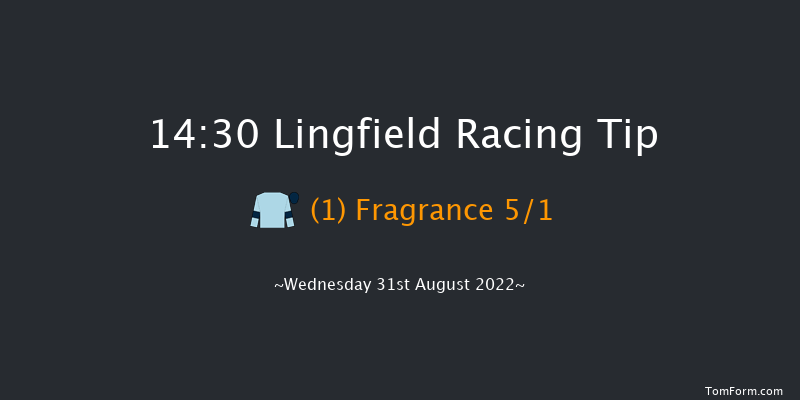 Lingfield 14:30 Handicap (Class 5) 5f Wed 24th Aug 2022