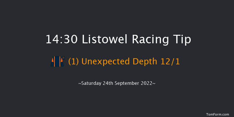 Listowel 14:30 Handicap Hurdle 20f Fri 23rd Sep 2022