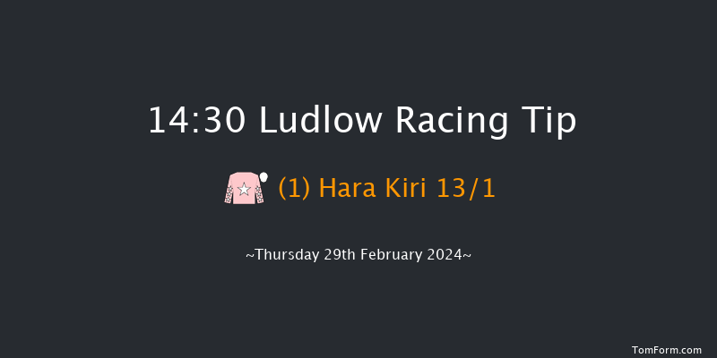 Ludlow  14:30 Handicap Hurdle (Class 5) 16f Wed 21st Feb 2024