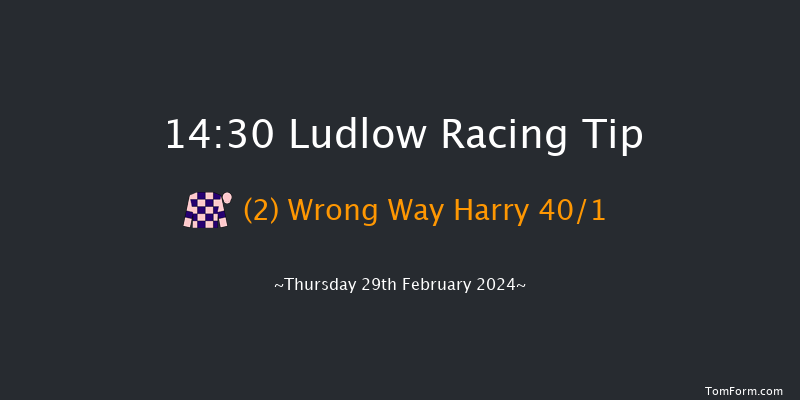 Ludlow  14:30 Handicap Hurdle (Class 5) 16f Wed 21st Feb 2024